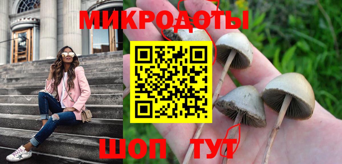 Благовещенск  Галлюциногенные грибы Magic Shrooms  Галлюциногенные грибы Psilocybe  Вход с VPN 